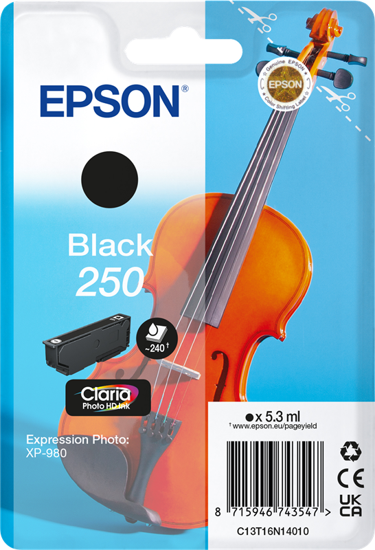 Original Epson 250 / C13T16N14010 Druckerpatrone Schwarz