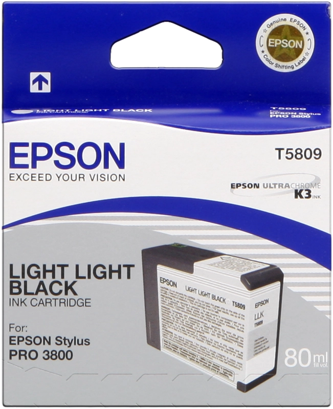 Original Epson T5809 Druckerpatrone lightlightblack C13T580900